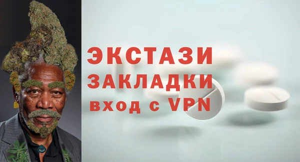 шишки Белоозёрский