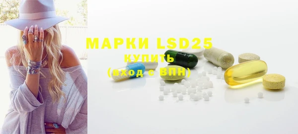 шишки Белоозёрский