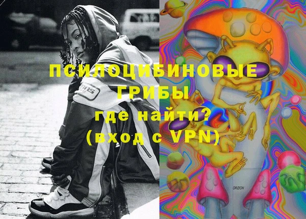 гидра Белокуриха
