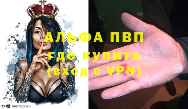шишки Белоозёрский