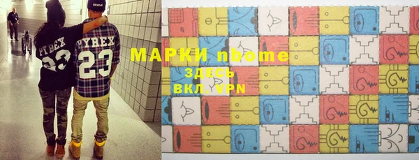шишки Белоозёрский