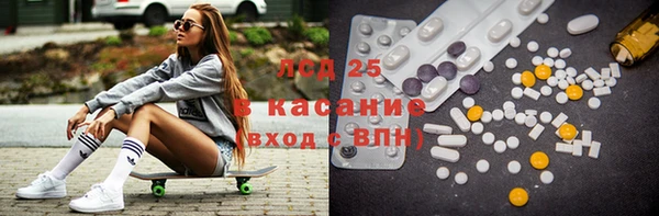 шишки Белоозёрский