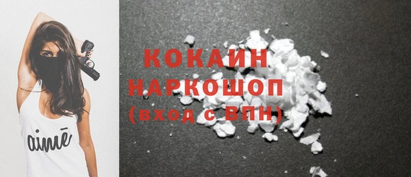гидра Белокуриха