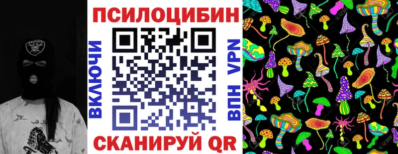 Купить  Дрезна  Галлюциногенные грибы Psilocybe 