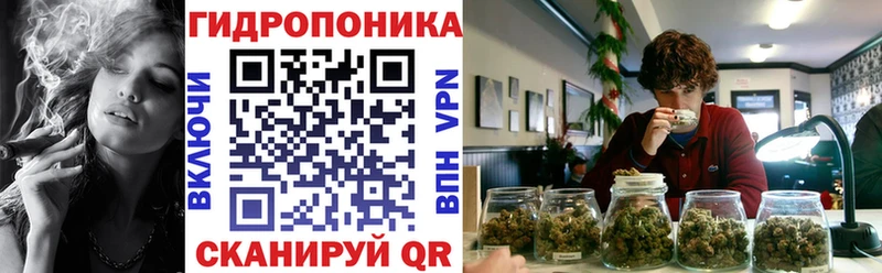 Марихуана OG Kush Дрезна