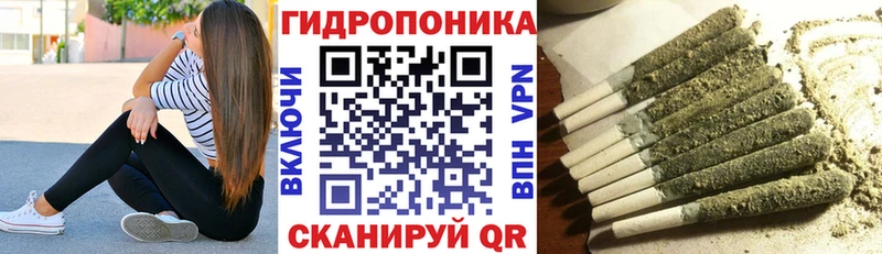 Конопля Bruce Banner  Купить закладки  Дрезна 